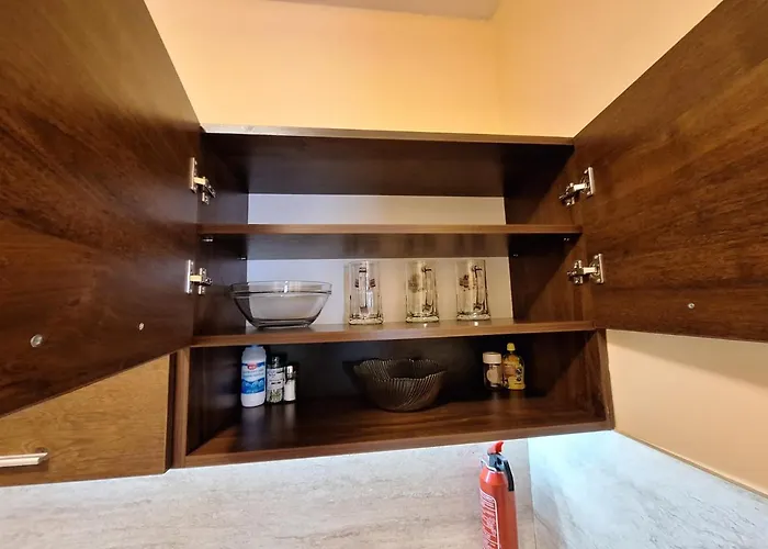 Location Ski-in Ski-out And Swimming Pool Appartement