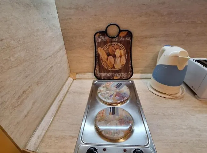 Location Ski-in Ski-out And Swimming Pool Appartement *